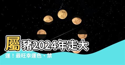 屬豬幸運物|【屬豬幸運色】屬豬者專屬幸運色！2024豬年最強運勢指南